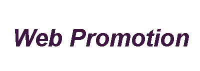 Aone IT Services Pvt Ltd