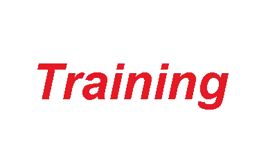 Aone IT Services Pvt Ltd