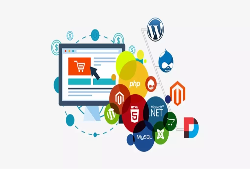 Custom Software Development Company In India 