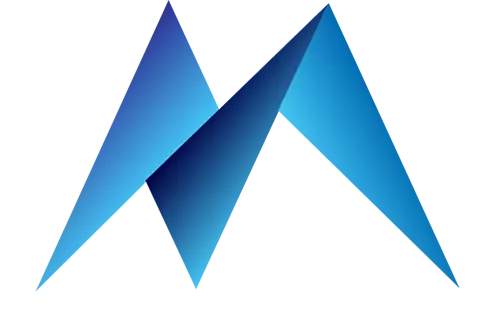 Aone IT Portfolio Service Company