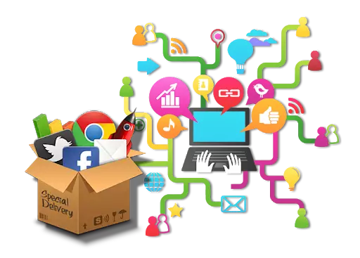 SEO Company In India 
